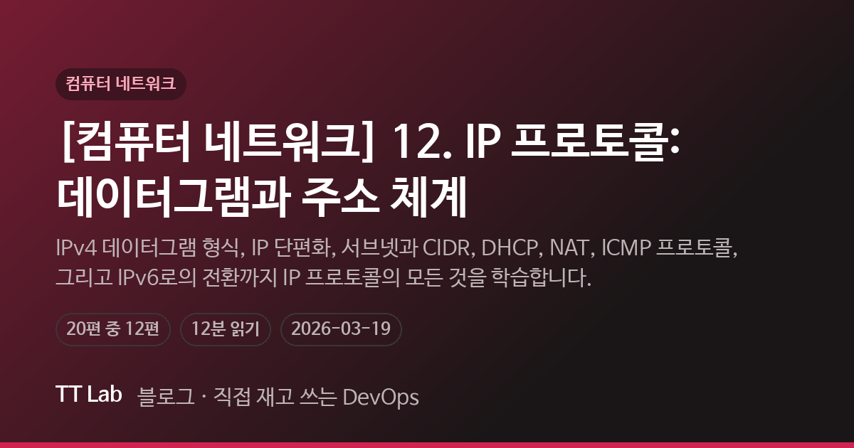 [컴퓨터 네트워크] 12. IP 프로토콜: 데이터그램과 주소 체계 — TT Lab 블로그