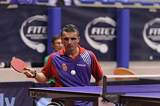 Mitar Palikuća